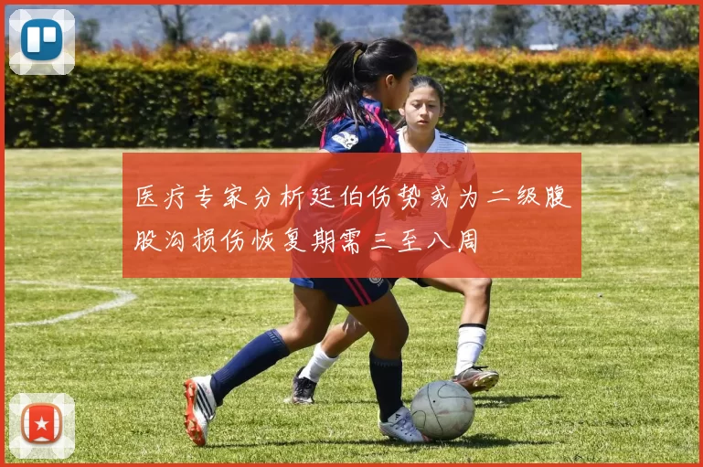 医疗专家分析廷伯伤势或为二级腹股沟损伤恢复期需三至八周