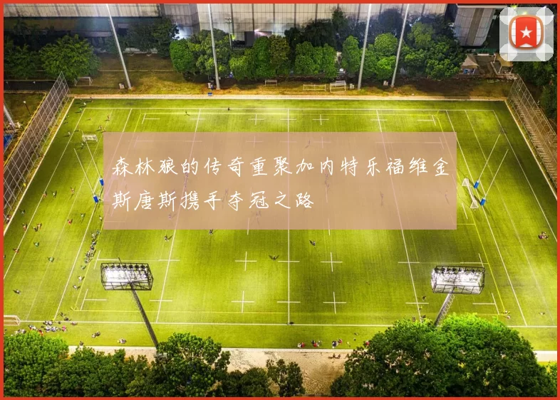 森林狼的传奇重聚加内特乐福维金斯唐斯携手夺冠之路